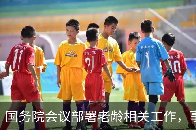 国务院会议部署老龄相关工作，事关上亿老年人，看懂有哪些方向？
